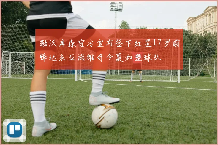 勒沃库森官方宣布签下红星17岁前锋达米亚诺维奇今夏加盟球队