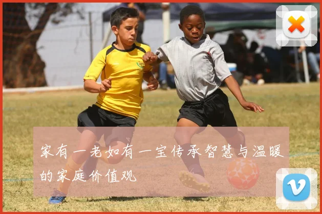 家有一老如有一宝传承智慧与温暖的家庭价值观